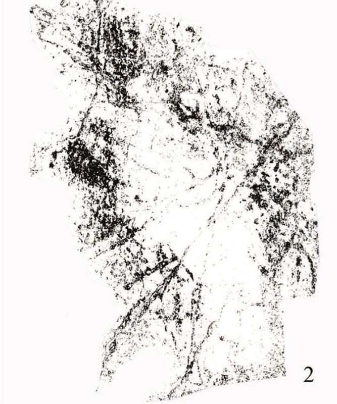 Computer enhanced image of the hand stencil from Gorham's Cave